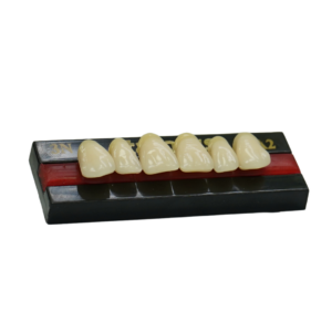 Dientes Acrílicos StarPlus